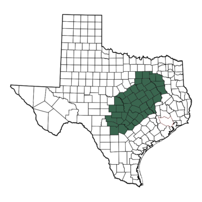 Green State | Rio Bravo Appraisal